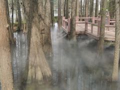 -东湖落雁景区
