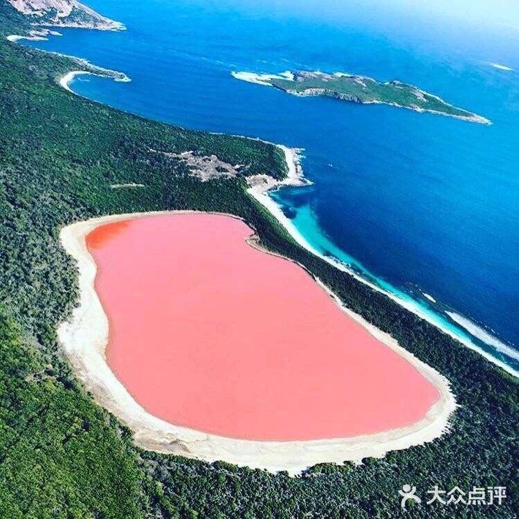 搭乘小型飞机,沿着海岸线飞行不远
