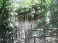 -青青世界
