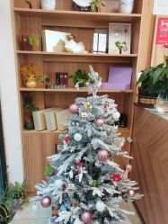 -丝客富脱发养发头皮馆