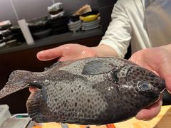 -水之惠鲜鱼料理(王府大街店)