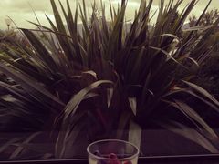 -Lake Hawea Hotel