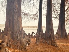 -东湖落雁景区