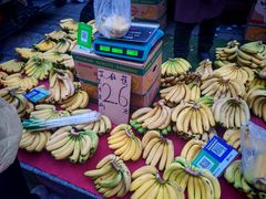 -西安唐皇城墙含光门遗址博物馆