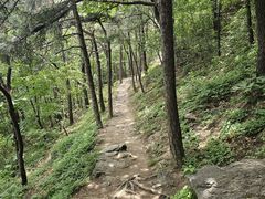 -北京鹫峰国家森林公园
