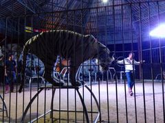 -清迈夜间动物园