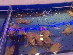 -澜悦港海鲜体验主题餐厅
