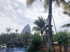 -味餐厅·海鲜·火锅·自助餐