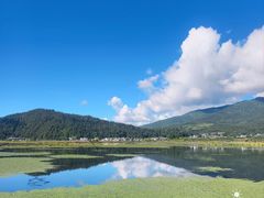 -腾冲北海湿地