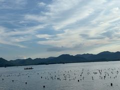 -杭州君悦酒店