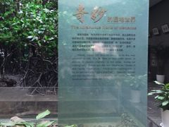 -中国湿地博物馆
