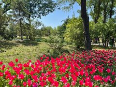 -北京植物园南门售票处