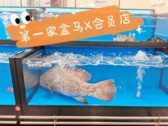 -盒马X会员店(王府井奥莱UP TOWN店)