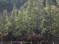 -幕燕滨江·长江观音景区