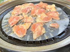 -十亩森林
