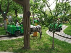 -辛玛王国游乐园