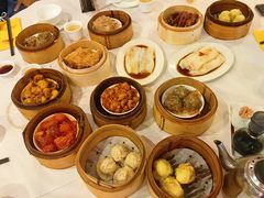 牛蹄筋-金煌大酒楼