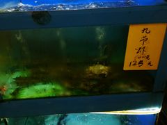 海鲜池-金苑海鲜酒家(新港中路店)