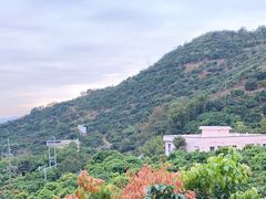 -广州市石门国家森林公园