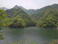 -秦岭风景区