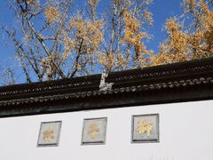 -金鸡湖景区