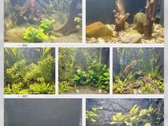 -常州海昌海洋探索馆