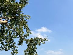 -重庆中央公园(渝北区)