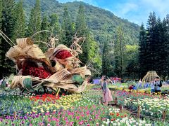 -深圳仙湖植物园