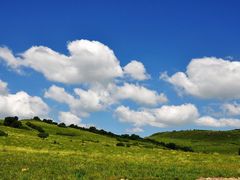 -塞罕坝国家级自然保护区