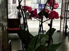 -LANN I 蘭 泰式古法按摩(徐家汇城开YOYO店)
