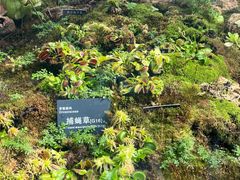 -国家植物园南园