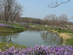 -江苏三台山国家森林公园