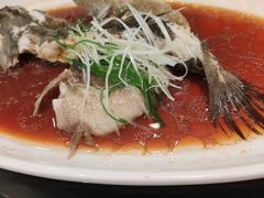 -新南华大酒店(广中店)