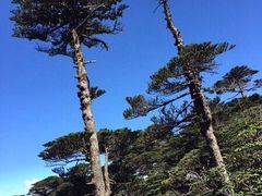 -苍山世界地质公园·石门关大峡谷