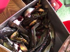 -老船夫石锅苗苗鱼·老字号(三道堰总店)
