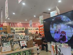 -熊猫邮局(少城店)