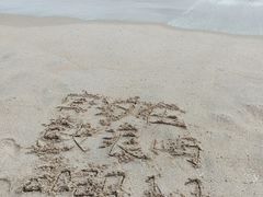 -厦门海底世界