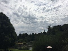 -墨尔本皇家植物园