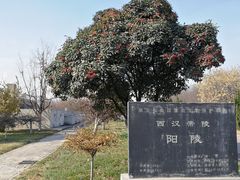 -汉景帝阳陵博物院