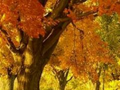 -完美世界影城(天津迎宾店)