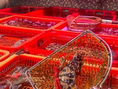 -巽寮印象美食部落餐厅·海鲜·地方特色菜(惠州体验店)