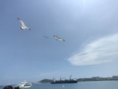 -海驴岛(荣成市)