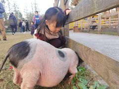 -前小桔亲子创意农场·草莓采摘·露营烧烤