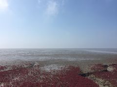 -红海滩国家风景廊道