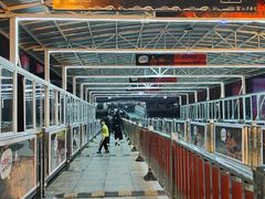 -武汉关码头(轮渡站)