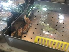 -1973继光香香鸡(曲阳路店)