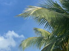 -三亚南山文化旅游区