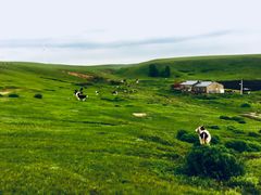 -莫日格勒旅游景区