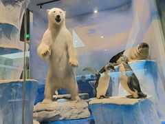 -国家自然博物馆