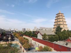 -大雁塔北广场音乐喷泉